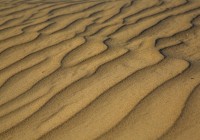 Пески «Аккум»